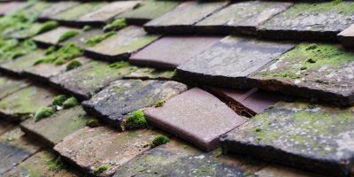 Crickham roof repair costs